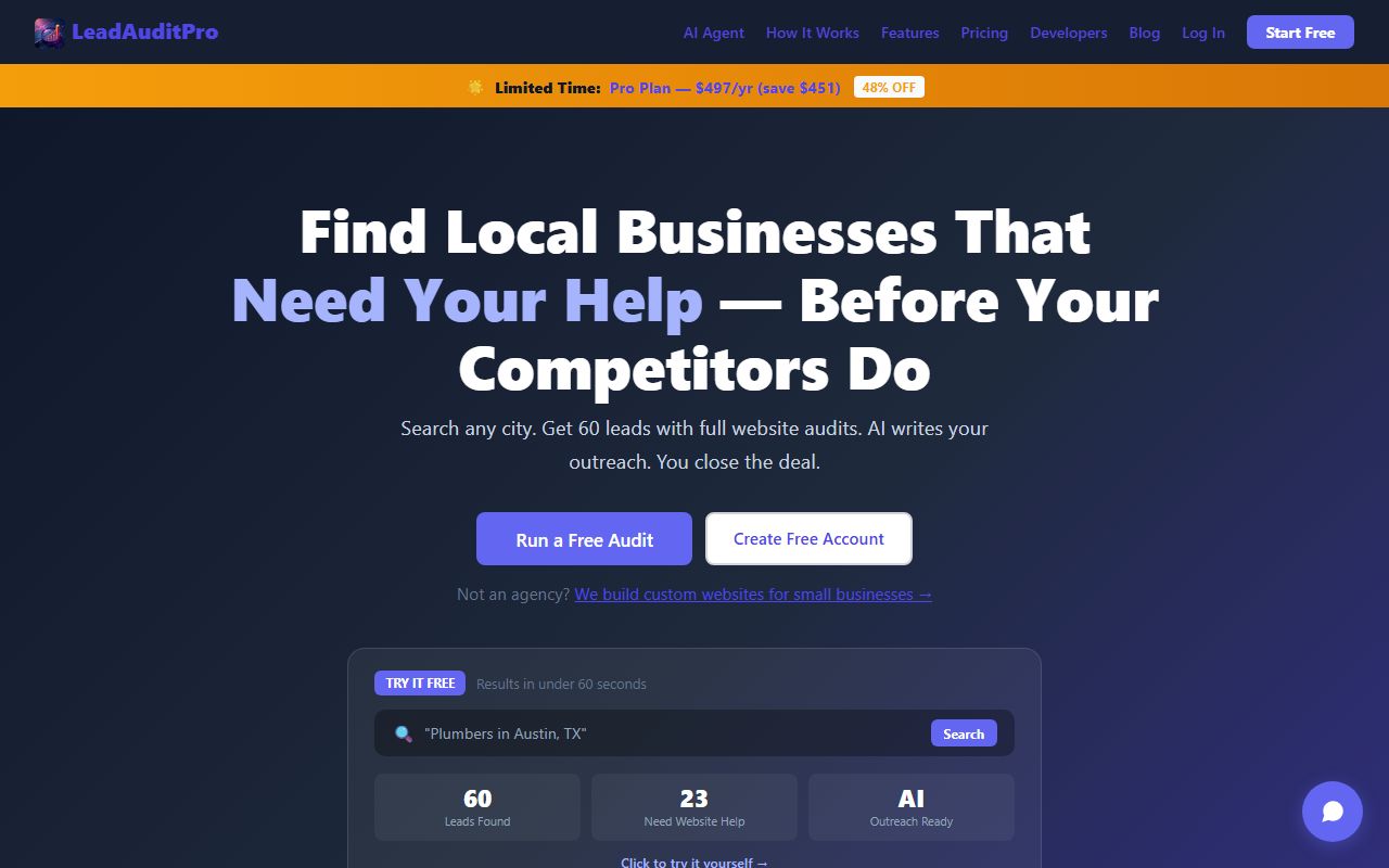 LeadAudit Pro website screenshot